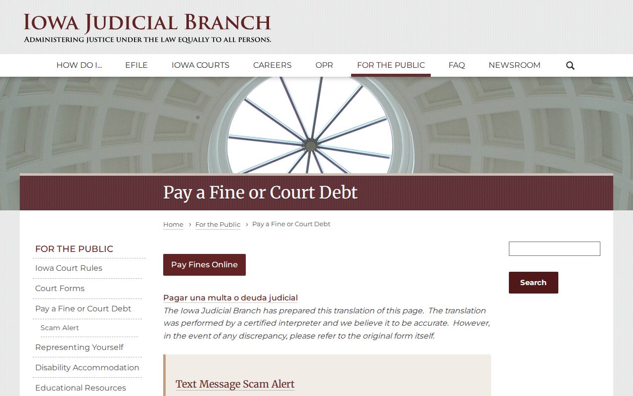 Emmet County criminal court case debt and fine information